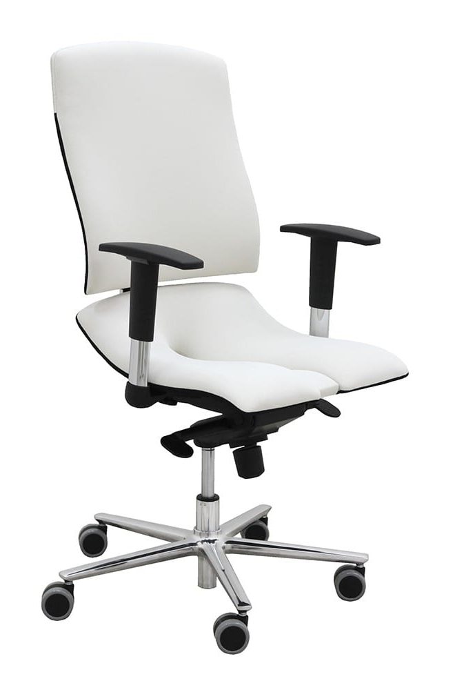 UREDSKA STOLICA STEEL STANDARD